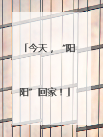 今天，“阳阳”回家！