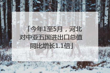 今年1至5月，河北对中亚五国进出口总值同比增长1.1倍