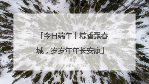 今日端午丨粽香飘春城，岁岁年年长安康