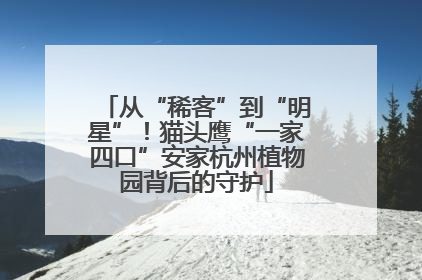 从“稀客”到“明星”！猫头鹰“一家四口”安家杭州植物园背后的守护