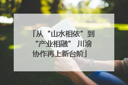 从“山水相依”到“产业相融” 川渝协作再上新台阶