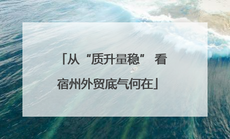 从“质升量稳” 看宿州外贸底气何在
