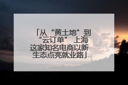 从“黄土地”到“云订单” 上海这家知名电商以新生态点亮就业路