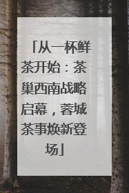 从一杯鲜茶开始：茶巢西南战略启幕，蓉城茶事焕新登场