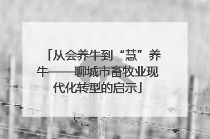 从会养牛到“慧”养牛——聊城市畜牧业现代化转型的启示