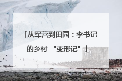 从军营到田园：李书记的乡村 “变形记”