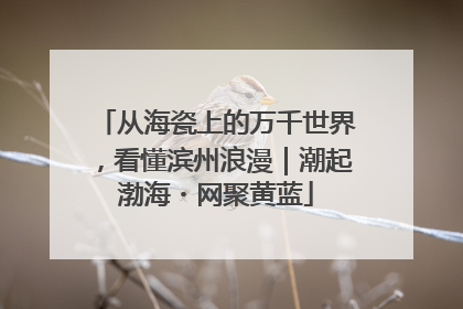 从海瓷上的万千世界，看懂滨州浪漫｜潮起渤海・网聚黄蓝