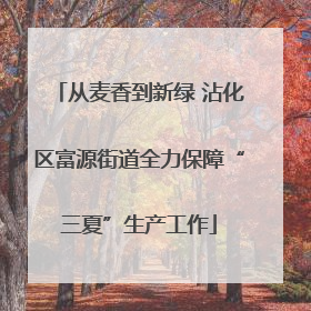 从麦香到新绿 沾化区富源街道全力保障“三夏”生产工作