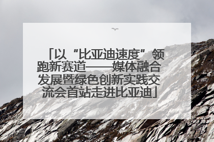 以“比亚迪速度”领跑新赛道——媒体融合发展暨绿色创新实践交流会首站走进比亚迪