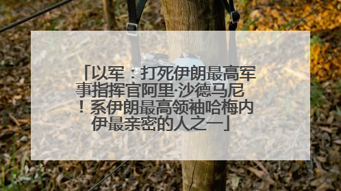 以军：打死伊朗最高军事指挥官阿里·沙德马尼！系伊朗最高领袖哈梅内伊最亲密的人之一