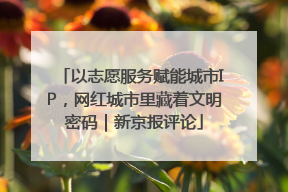 以志愿服务赋能城市IP，网红城市里藏着文明密码｜新京报评论