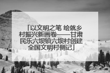 以文明之笔 绘就乡村振兴新画卷——甘肃民乐六坝镇六坝村创建全国文明村侧记