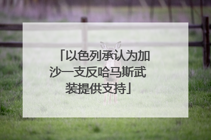 以色列承认为加沙一支反哈马斯武装提供支持