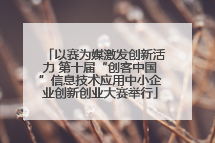 以赛为媒激发创新活力 第十届“创客中国”信息技术应用中小企业创新创业大赛举行