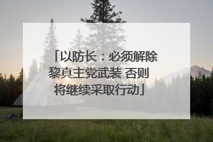 以防长：必须解除黎真主党武装 否则将继续采取行动