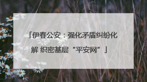 伊春公安：强化矛盾纠纷化解 织密基层“平安网”