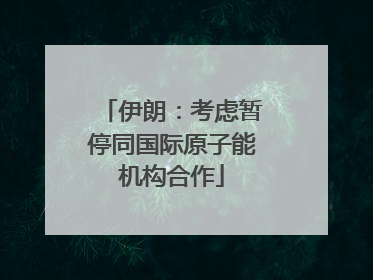 伊朗：考虑暂停同国际原子能机构合作