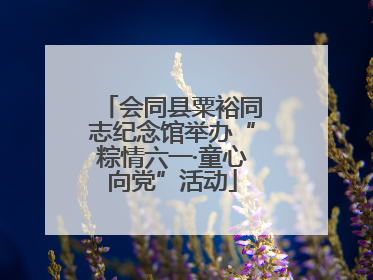 会同县粟裕同志纪念馆举办“粽情六一·童心向党”活动