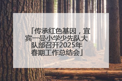 传承红色基因，宜宾一曼小学少先队大队部召开2025年春期工作总结会