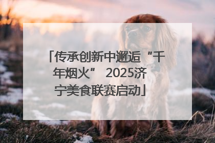 传承创新中邂逅“千年烟火” 2025济宁美食联赛启动