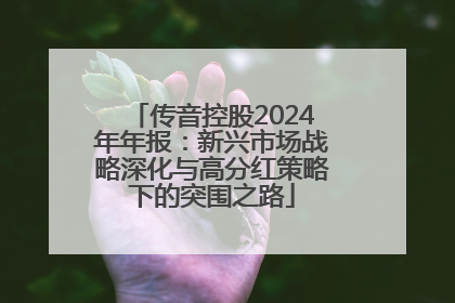 传音控股2024年年报：新兴市场战略深化与高分红策略下的突围之路