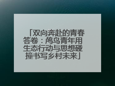 双向奔赴的青春答卷：鸬鸟青年用生态行动与思想碰撞书写乡村未来