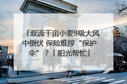 双流千亩小麦9级大风中倒伏 保险难撑“保护伞”？丨阳光帮忙