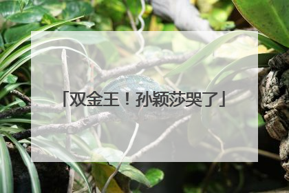 双金王！孙颖莎哭了