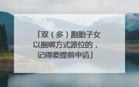 双（多）胞胎子女以捆绑方式派位的，记得要提前申请