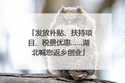 发放补贴、扶持项目、税费优惠……湖北喊您返乡创业