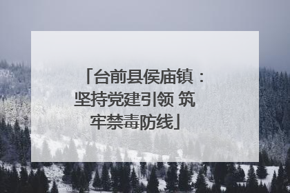 台前县侯庙镇：坚持党建引领 筑牢禁毒防线