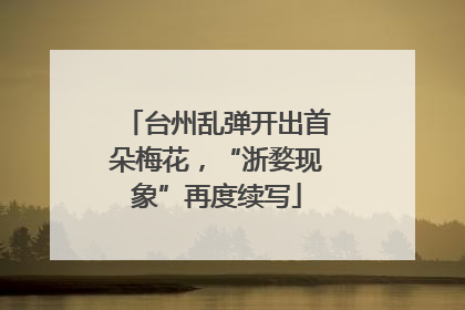 台州乱弹开出首朵梅花，“浙婺现象”再度续写