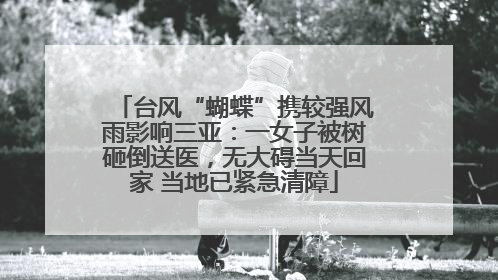 台风“蝴蝶”携较强风雨影响三亚：一女子被树砸倒送医，无大碍当天回家 当地已紧急清障