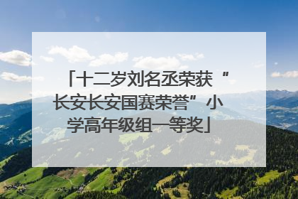十二岁刘名丞荣获“长安长安国赛荣誉”小学高年级组一等奖
