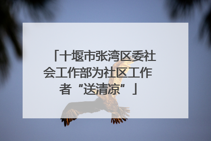十堰市张湾区委社会工作部为社区工作者“送清凉”