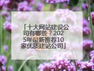 十大网站建设公司有哪些？2025年最新推荐10家优质建站公司
