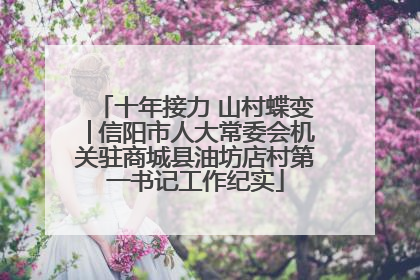 十年接力 山村蝶变│信阳市人大常委会机关驻商城县油坊店村第一书记工作纪实