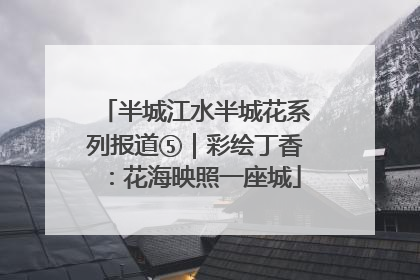 半城江水半城花系列报道⑤｜彩绘丁香：花海映照一座城