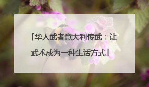 华人武者意大利传武：让武术成为一种生活方式