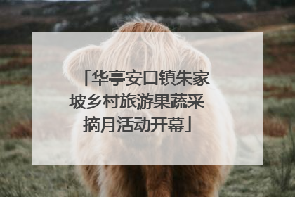 华亭安口镇朱家坡乡村旅游果蔬采摘月活动开幕