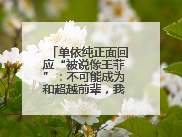 单依纯正面回应“被说像王菲”：不可能成为和超越前辈，我想致敬他们