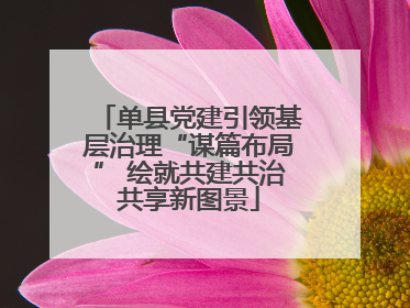 单县党建引领基层治理“谋篇布局” 绘就共建共治共享新图景