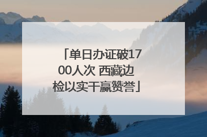 单日办证破1700人次 西藏边检以实干赢赞誉