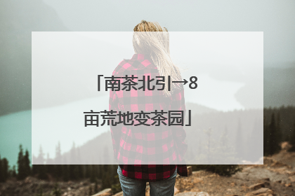 南茶北引→8亩荒地变茶园