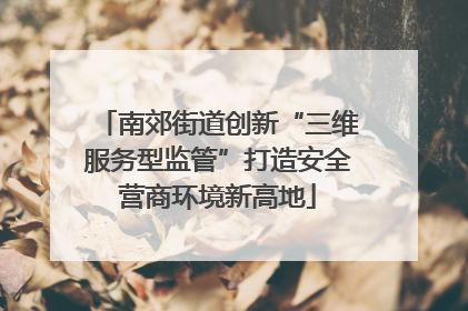 南郊街道创新“三维服务型监管”打造安全营商环境新高地