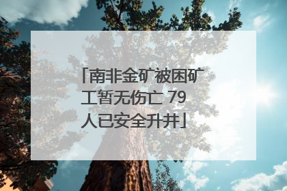南非金矿被困矿工暂无伤亡 79人已安全升井