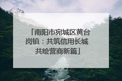 南阳市宛城区黄台岗镇：共筑信用长城 共绘营商新篇
