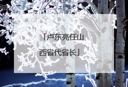 卢东亮任山西省代省长