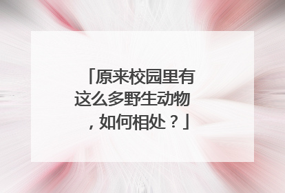 原来校园里有这么多野生动物，如何相处？