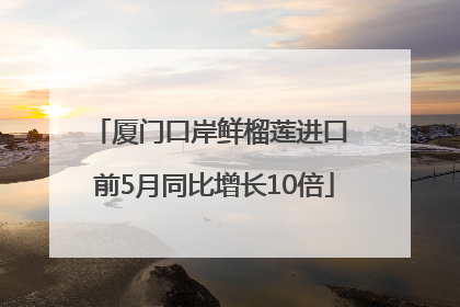 厦门口岸鲜榴莲进口 前5月同比增长10倍